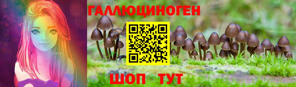 Псилоцибиновые грибы MAGIC MUSHROOMS  Псилоцибиновые грибы прущие грибы  Вышний Волочёк  Вход с VPN 